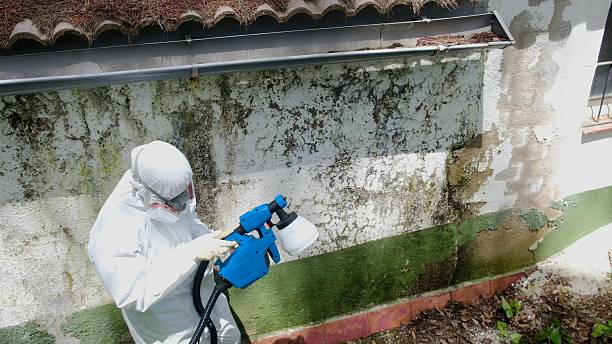 Top rated local Mold Remediation specialists in Spangler, PA
